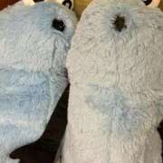 ヒメ日記 2026/01/04 15:59 投稿 猫宮　あまね オトナ女子倶楽部