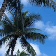 花房このは ♪ 大人めシンデレラ 新横浜店（シンデレラグループ）