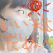 ヒメ日記 2025/07/21 10:54 投稿 綾波るか 癒したくて成田店～日本人アロマ性感～