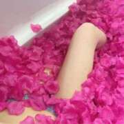 ヒメ日記 2026/02/20 18:02 投稿 NANASE アイドルオーディション