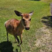 ヒメ日記 2025/07/04 19:01 投稿 華【ハナ】 輝女