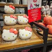 ヒメ日記 2025/07/11 12:59 投稿 華【ハナ】 輝女