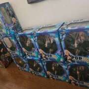 ヒメ日記 2025/08/04 07:00 投稿 華【ハナ】 輝女