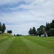 ヒメ日記 2025/08/14 08:00 投稿 華【ハナ】 輝女