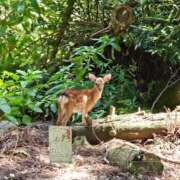 ヒメ日記 2025/09/10 12:01 投稿 華【ハナ】 輝女