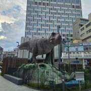 ヒメ日記 2025/09/11 07:00 投稿 華【ハナ】 輝女