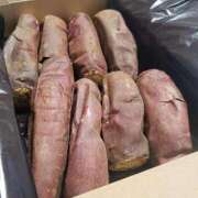 ヒメ日記 2025/10/03 08:10 投稿 華【ハナ】 輝女