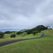 ヒメ日記 2025/10/16 07:00 投稿 華【ハナ】 輝女