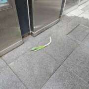 ヒメ日記 2025/10/17 17:45 投稿 華【ハナ】 輝女