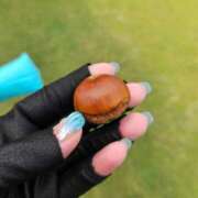 ヒメ日記 2025/10/28 23:53 投稿 華【ハナ】 輝女