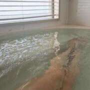 ヒメ日記 2025/12/08 13:00 投稿 華【ハナ】 輝女