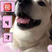 ヒメ日記 2025/07/23 21:16 投稿 めぐ モアグループ熊谷人妻花壇