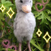 ヒメ日記 2025/07/27 10:01 投稿 めぐ モアグループ熊谷人妻花壇