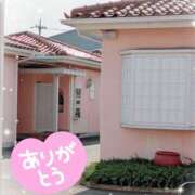 ヒメ日記 2025/08/21 15:09 投稿 めぐ モアグループ熊谷人妻花壇