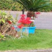 ヒメ日記 2025/10/02 09:31 投稿 めぐ モアグループ熊谷人妻花壇