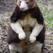 ヒメ日記 2025/10/08 22:03 投稿 めぐ モアグループ熊谷人妻花壇