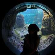 ヒメ日記 2025/09/22 20:00 投稿 もみじ JAPAN CLUB BUNNY LOUNGE