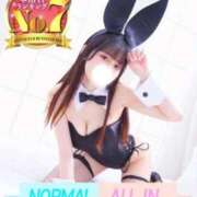 ヒメ日記 2025/11/01 12:42 投稿 もみじ JAPAN CLUB BUNNY LOUNGE