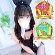 ヒメ日記 2026/02/01 14:42 投稿 もみじ JAPAN CLUB BUNNY LOUNGE