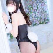 ヒメ日記 2026/02/28 08:02 投稿 もみじ JAPAN CLUB BUNNY LOUNGE