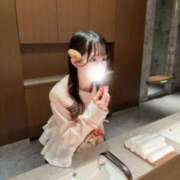 ヒメ日記 2026/03/17 10:19 投稿 もみじ JAPAN CLUB BUNNY LOUNGE