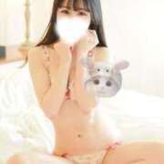 ヒメ日記 2026/03/21 09:01 投稿 もみじ JAPAN CLUB BUNNY LOUNGE