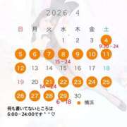 ヒメ日記 2026/04/02 08:01 投稿 もみじ JAPAN CLUB BUNNY LOUNGE