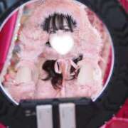 ヒメ日記 2026/04/06 06:00 投稿 もみじ JAPAN CLUB BUNNY LOUNGE