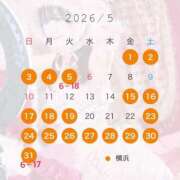 ヒメ日記 2026/04/30 20:20 投稿 もみじ JAPAN CLUB BUNNY LOUNGE