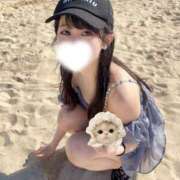 ヒメ日記 2026/05/08 18:04 投稿 もみじ JAPAN CLUB BUNNY LOUNGE