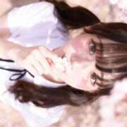ヒメ日記 2026/05/12 08:02 投稿 もみじ JAPAN CLUB BUNNY LOUNGE