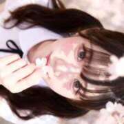 ヒメ日記 2026/05/14 12:17 投稿 もみじ JAPAN CLUB BUNNY LOUNGE