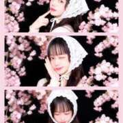 ヒメ日記 2026/05/17 01:16 投稿 もみじ JAPAN CLUB BUNNY LOUNGE