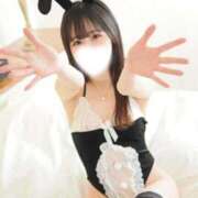 ヒメ日記 2026/05/18 03:00 投稿 もみじ JAPAN CLUB BUNNY LOUNGE