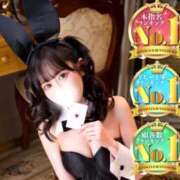 もみじ 🥇 JAPAN CLUB BUNNY LOUNGE