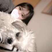 ヒメ日記 2026/02/11 12:43 投稿 そら あふたーすくーる本店