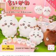 ヒメ日記 2026/02/25 12:32 投稿 そら あふたーすくーる本店