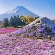 ヒメ日記 2026/04/08 10:06 投稿 夢野さき 五十路マダム愛されたい熟女たち 倉敷店（カサブランカグループ）