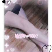 ヒメ日記 2025/11/10 18:06 投稿 なつみ エロ過ぎる奥様　小田原店