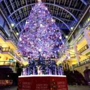 ヒメ日記 2025/12/24 21:46 投稿 なつみ エロ過ぎる奥様　小田原店