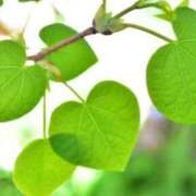 ヒメ日記 2025/08/17 18:53 投稿 はつね 熟女の風俗最終章 所沢店