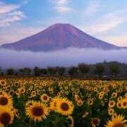 ヒメ日記 2025/07/25 12:46 投稿 愛梨 昼顔妻 五反田店