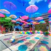 ヒメ日記 2025/08/12 09:46 投稿 愛梨 昼顔妻 五反田店