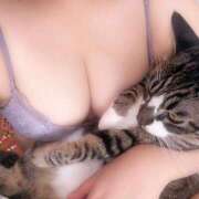 ヒメ日記 2025/07/16 16:39 投稿 みな ぷるりんクエスト上野浅草鶯谷秋葉原デリヘル王国