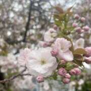 ヒメ日記 2026/04/12 06:43 投稿 まいか 一力茶屋