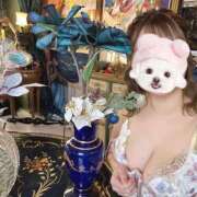 ヒメ日記 2025/07/01 05:57 投稿 涼風 花音 バルボラ マリン