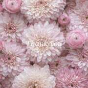 ヒメ日記 2025/08/02 06:47 投稿 涼風 花音 バルボラ マリン