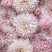 ヒメ日記 2025/08/23 07:07 投稿 涼風 花音 バルボラ マリン