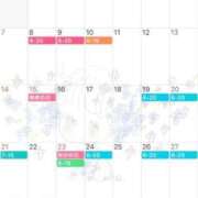 ヒメ日記 2025/08/28 08:47 投稿 涼風 花音 バルボラ マリン