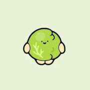 ヒメ日記 2025/11/24 17:27 投稿 涼風 花音 バルボラ マリン